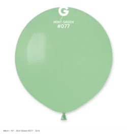 Gemar G19 #077 MINT GREEN 207750 STANDARD COLOR 19IN