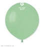 Gemar G19 #077 MINT GREEN 207750 STANDARD COLOR 19IN
